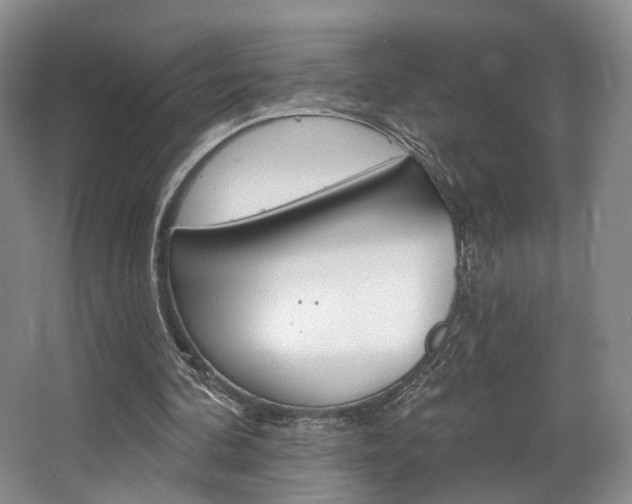 X0000068740292200604281023