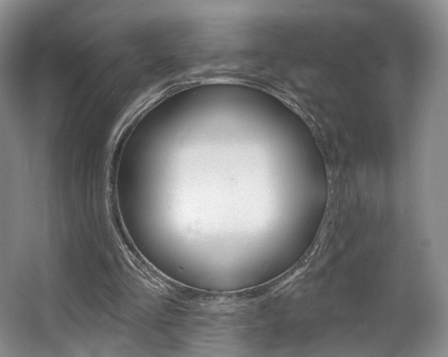 X0000068740293200604281023