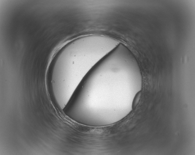 X0000068740294200604281023