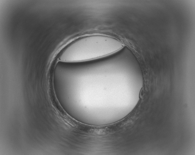 X0000068740295200604281023