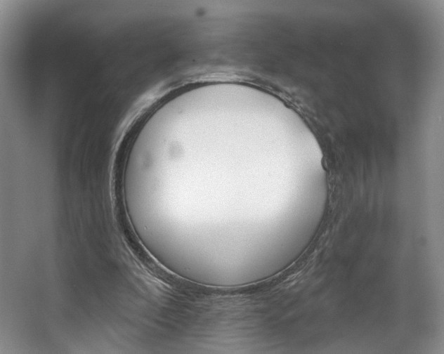 X0000068740296200604281023