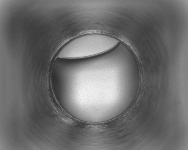 X0000068740297200604281023