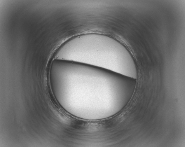 X0000068740298200604281023