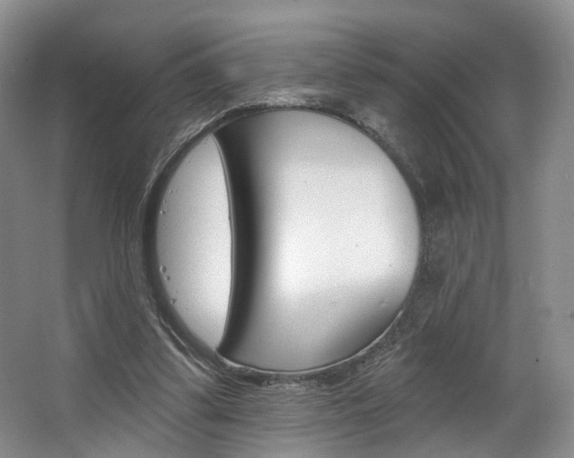 X0000068740299200604281023