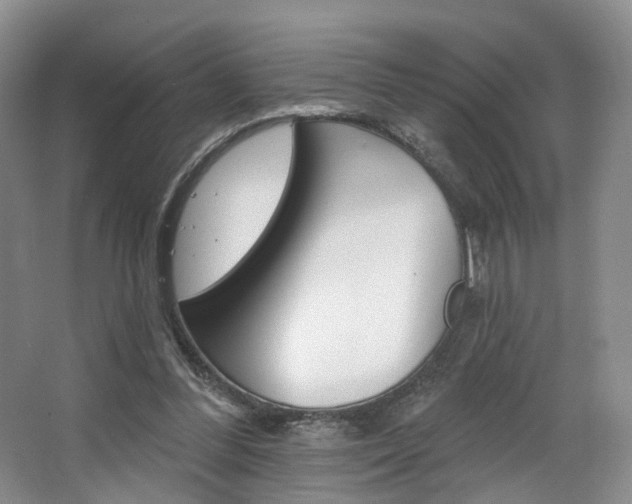 X0000068740300200604281023