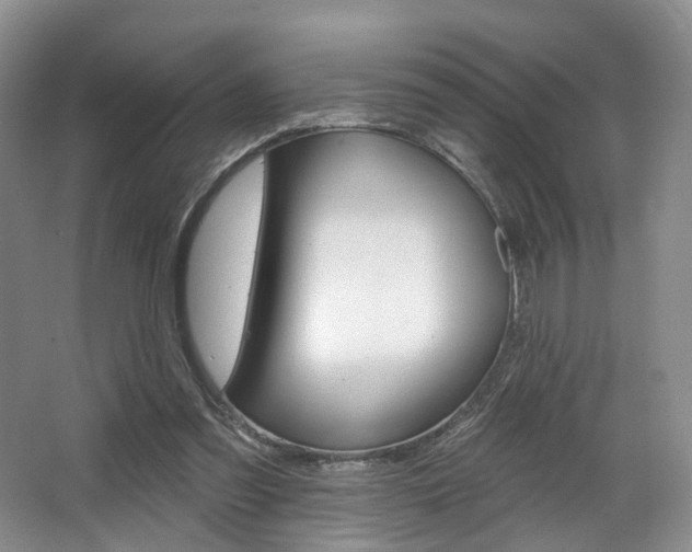 X0000068740301200604281023