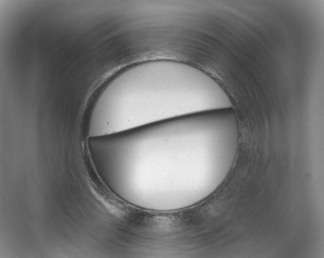 X0000068740302200604281023