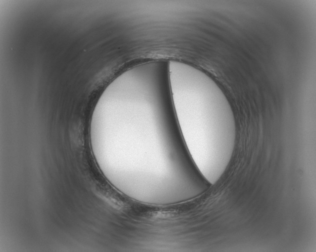 X0000068740303200604281023