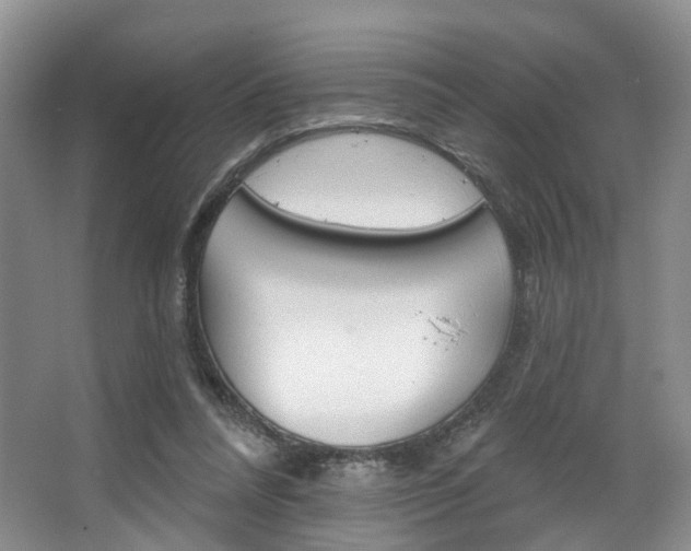 X0000068740304200604281023