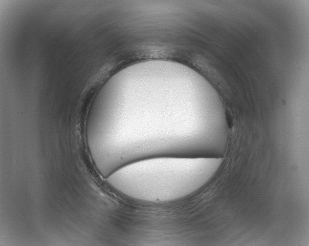 X0000068740306200604281023