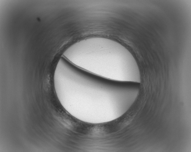 X0000068740308200604281023