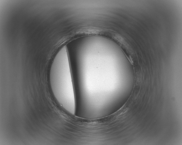 X0000068740309200604281023