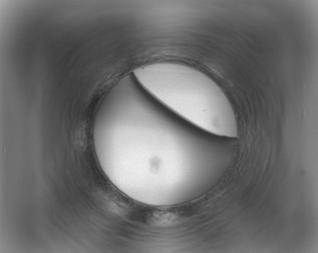 X0000068740311200604281023