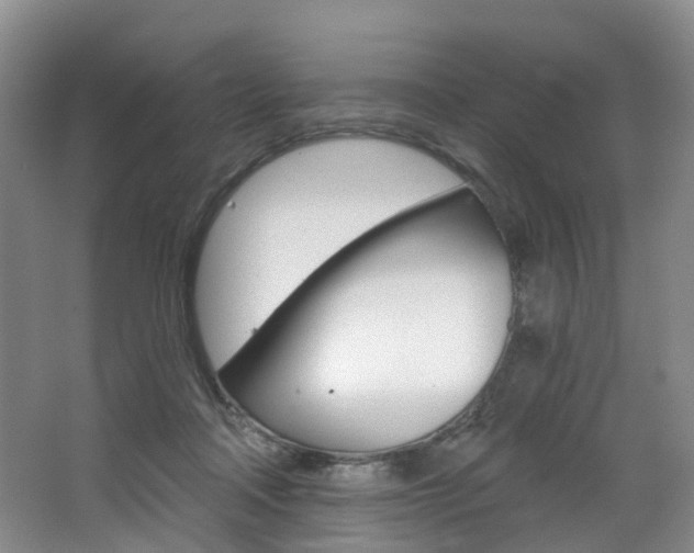 X0000068740314200604281023