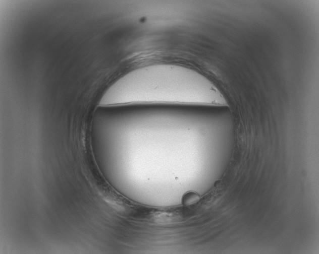 X0000068740315200604281023