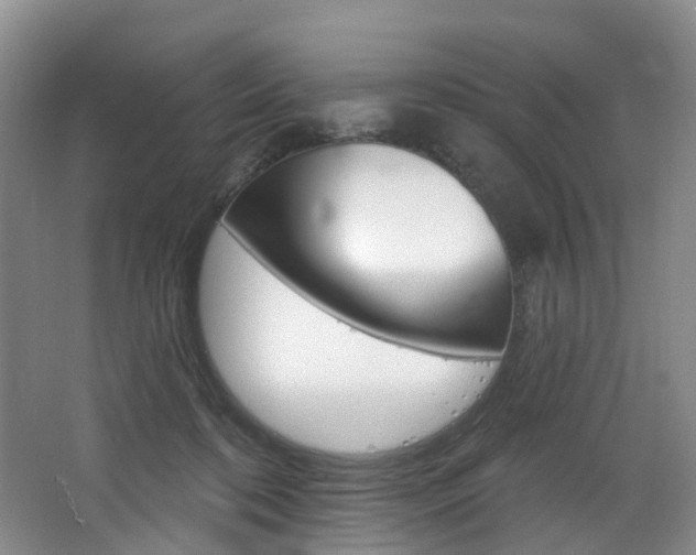 X0000068740316200604281023