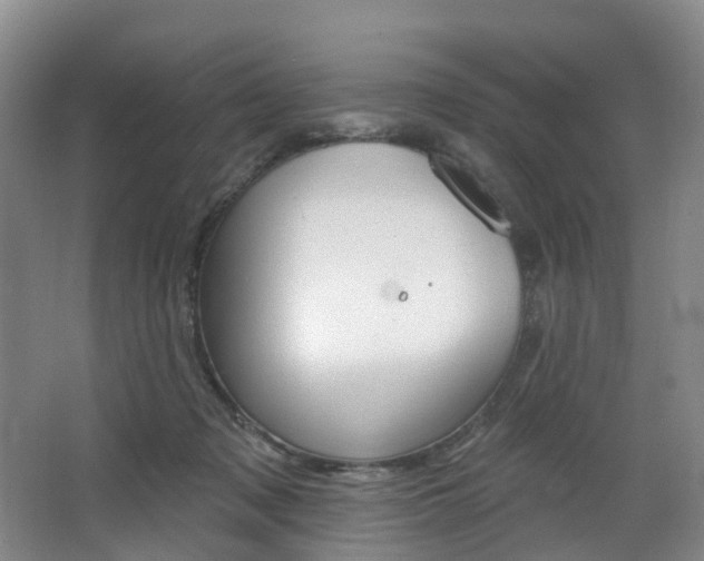 X0000068740317200604281023