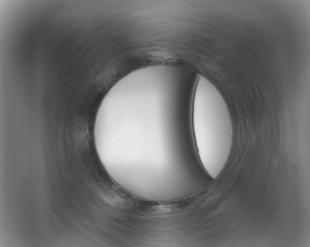 X0000068740320200604281023