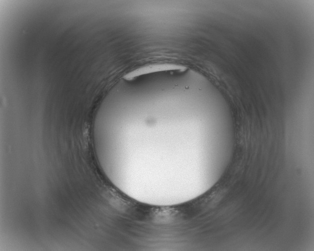 X0000068740321200604281023