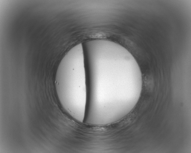 X0000068740322200604281023