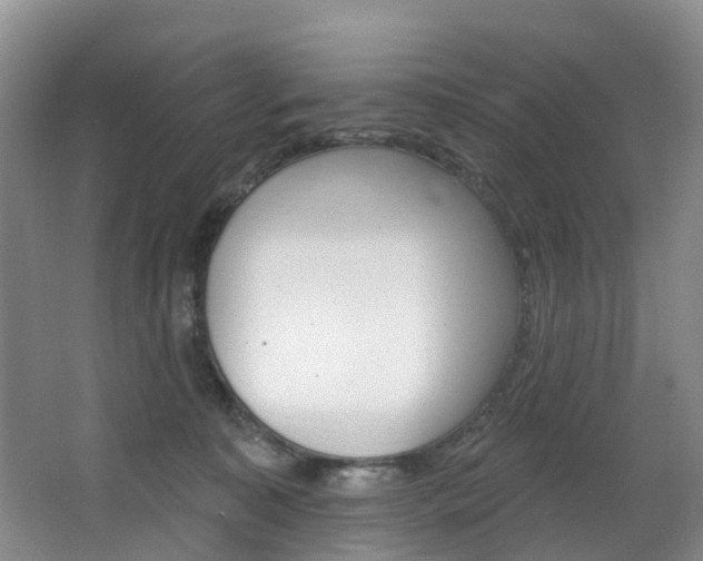 X0000068740323200604281023