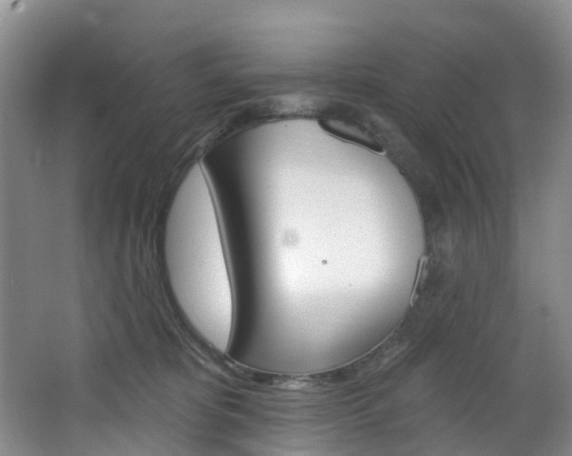 X0000068740325200604281023