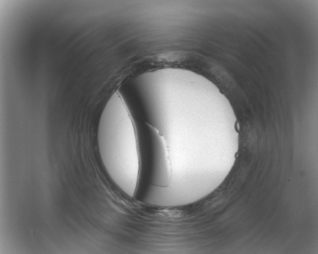 X0000068740328200604281023