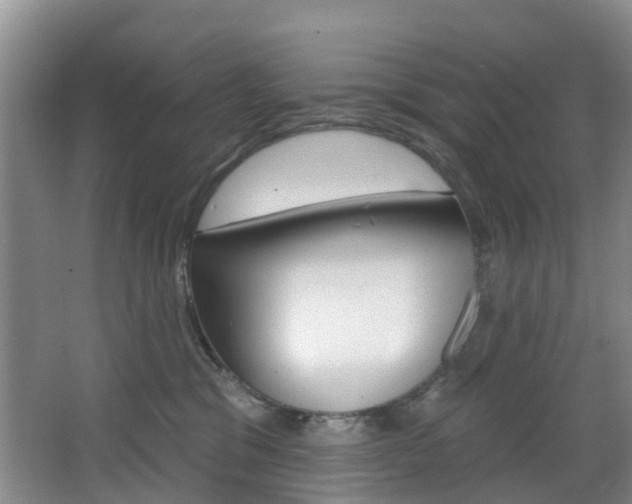 X0000068740329200604281023