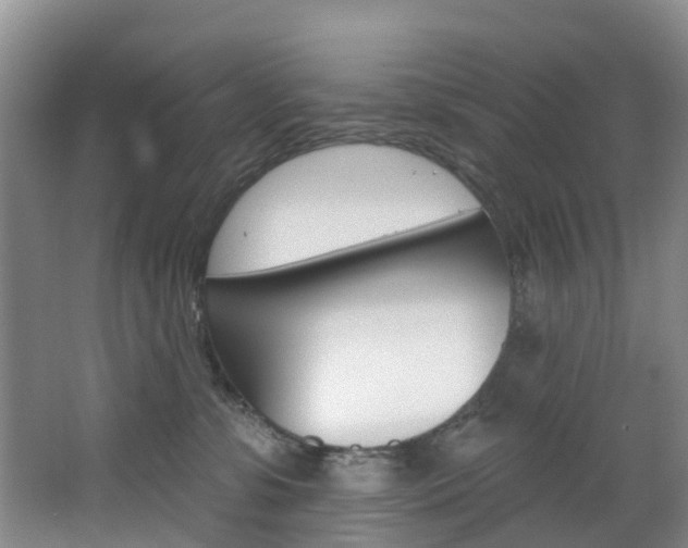 X0000068740331200604281022