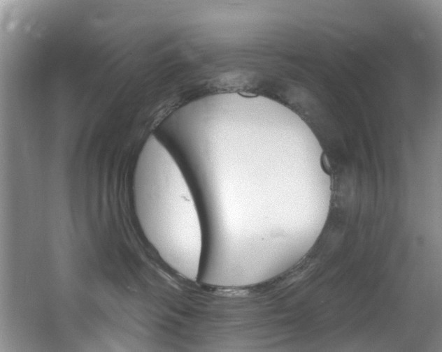 X0000068740334200604281022