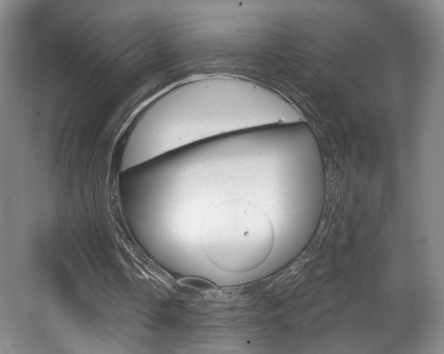 X0000068740338200604281022