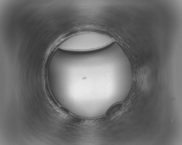 X0000068740341200604281022