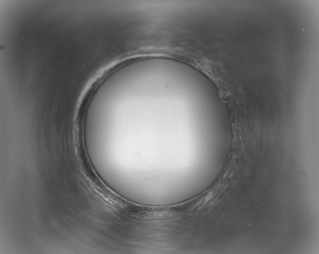 X0000068740342200604281022