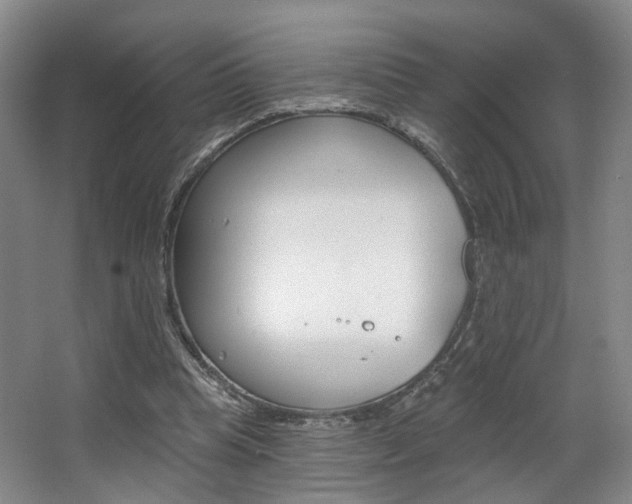 X0000068740345200604281022