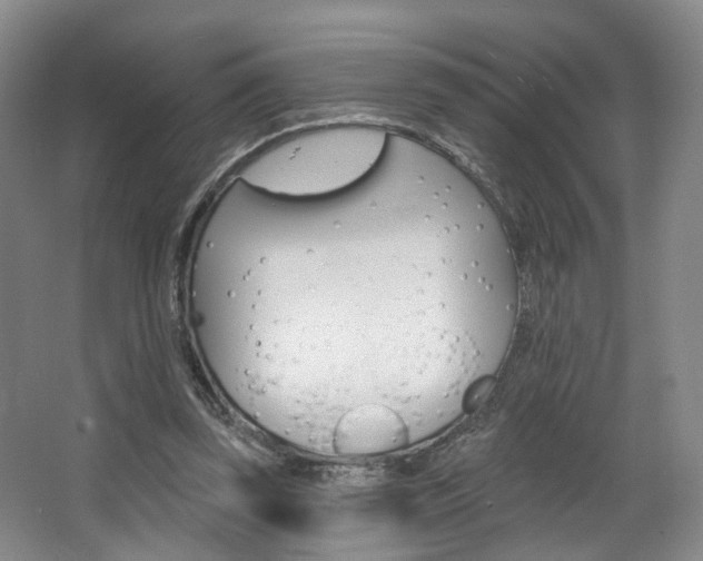 X0000068740347200604281022