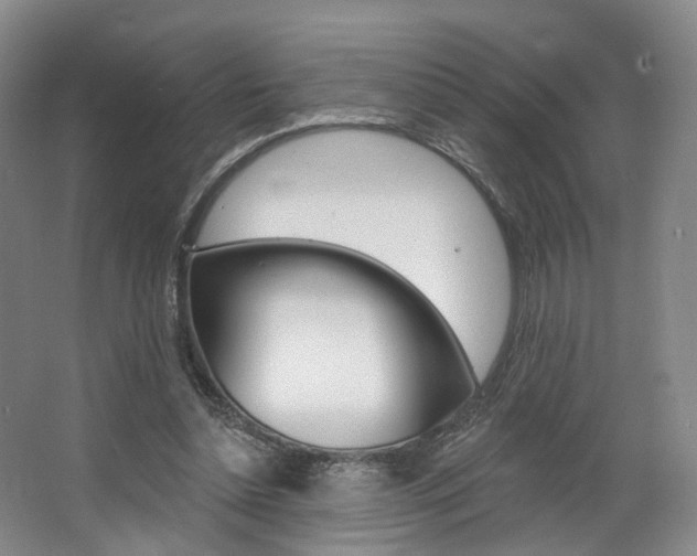 X0000068740348200604281022