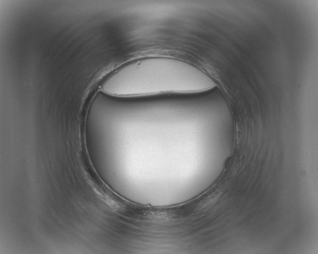 X0000068740349200604281022