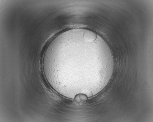 X0000068740351200604281022