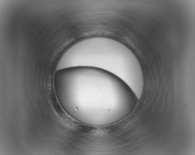 X0000068740356200604281022