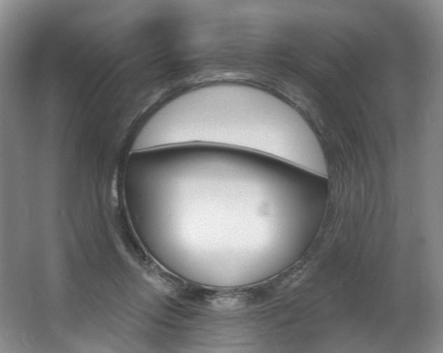 X0000068740358200604281022