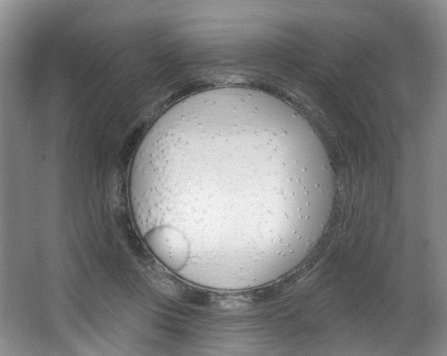 X0000068740359200604281022