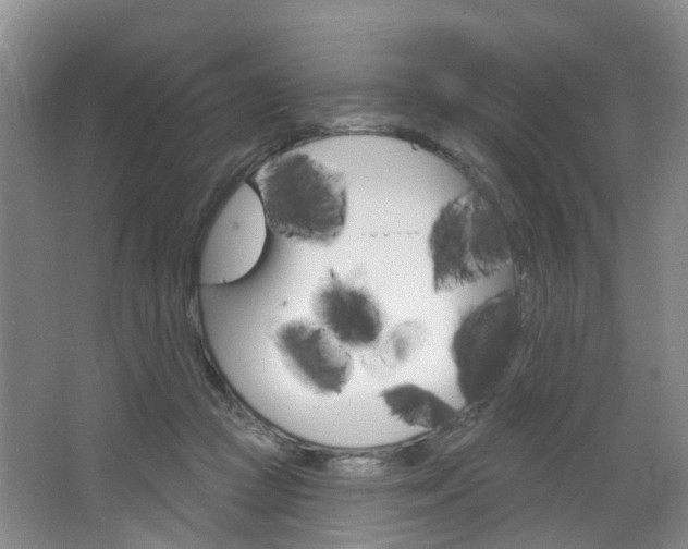 X0000068740361200604281022