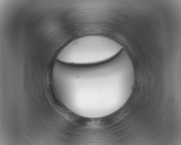 X0000068740362200604281022