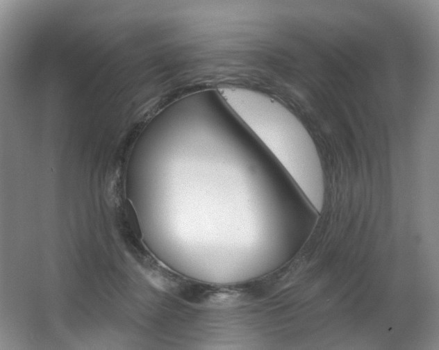 X0000068740364200604281022