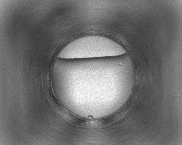 X0000068740365200604281022