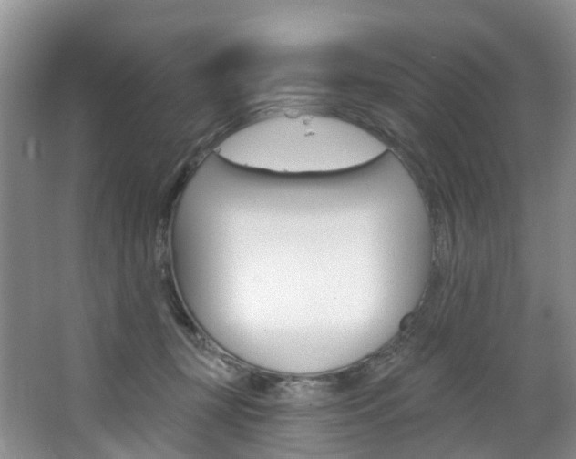 X0000068740367200604281022