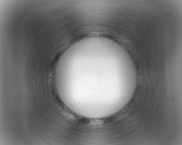 X0000068740369200604281022