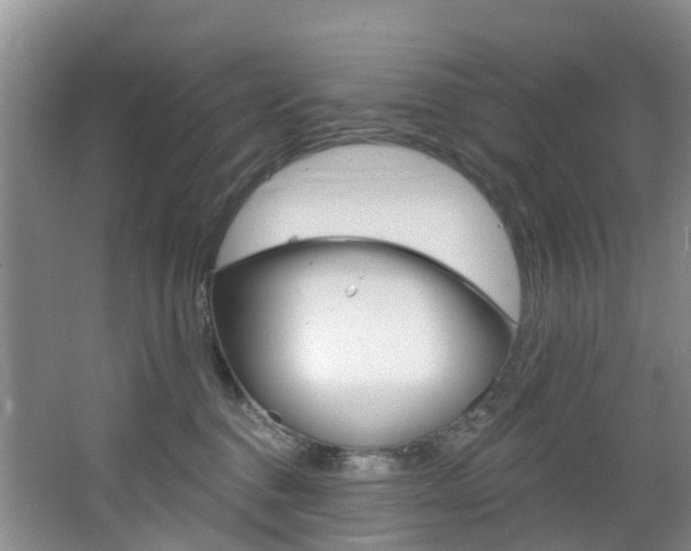 X0000068740376200604281022