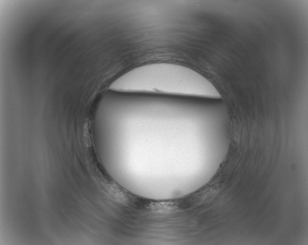 X0000068740378200604281022