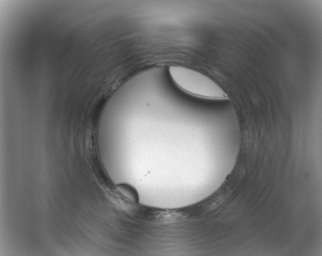 X0000068740379200604281022